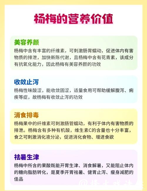 杨梅渊源 杨梅渊源