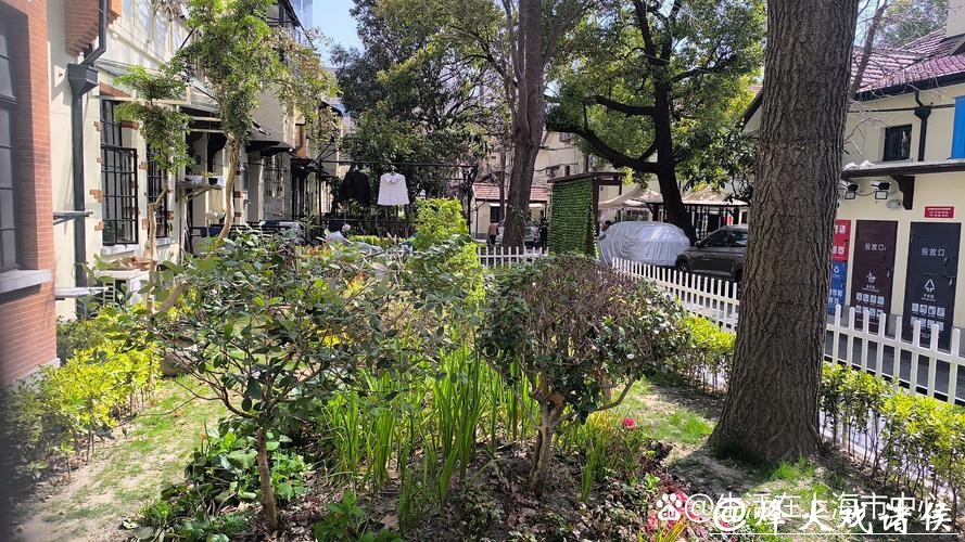 上海民声 | 洋邻居“住下来”“融进来” 上海民声 | 洋邻居“住下来”“融进来”