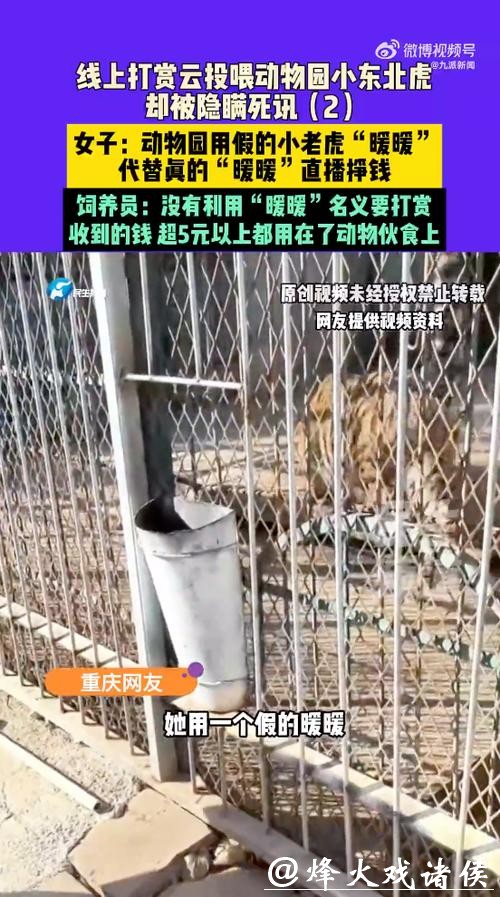 动物园隐瞒网红小老虎死讯，用录屏冒充直播欺骗粉丝打赏！多部门介入调查