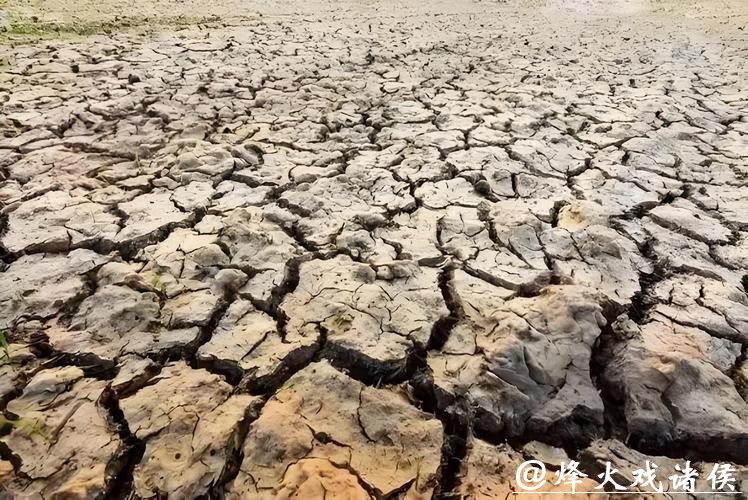大气蒸发“吸干”大地！45年间，全球干旱强度飙升40%